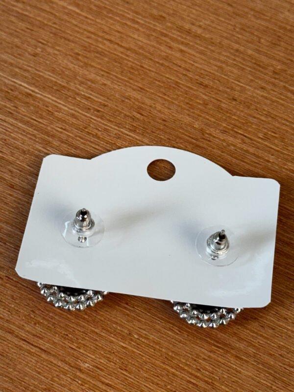 Brinco - Image 3