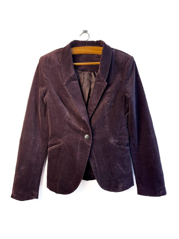Blazer Veludo  (Zara)